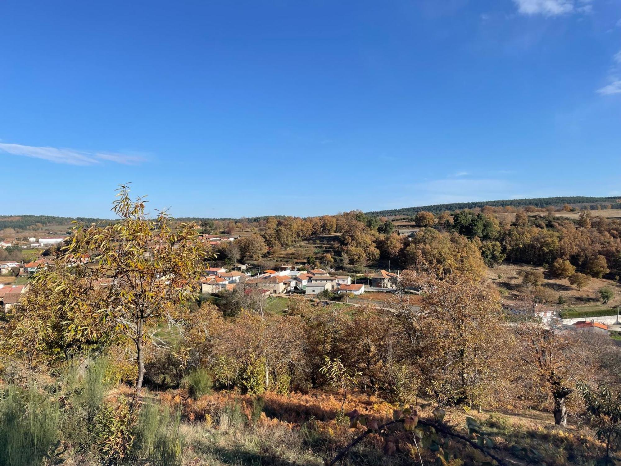 Casa Do Souto - Nature & Experiences - Turismo Rural Braganca Luaran gambar